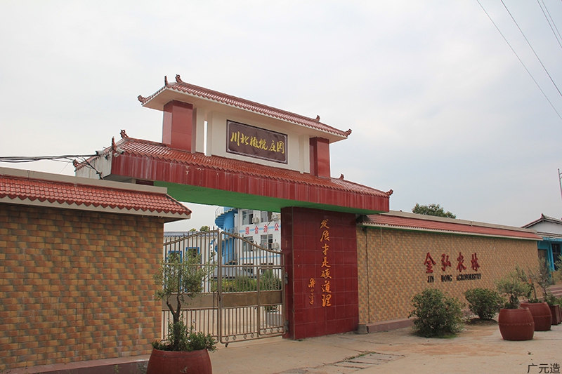 广元金弘农林有限公司