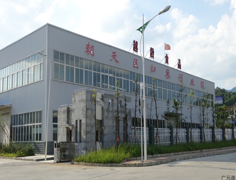 广元市中子越龄食品有限责任公司