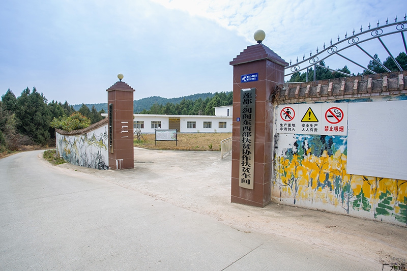 剑阁县老龚食品有限公司