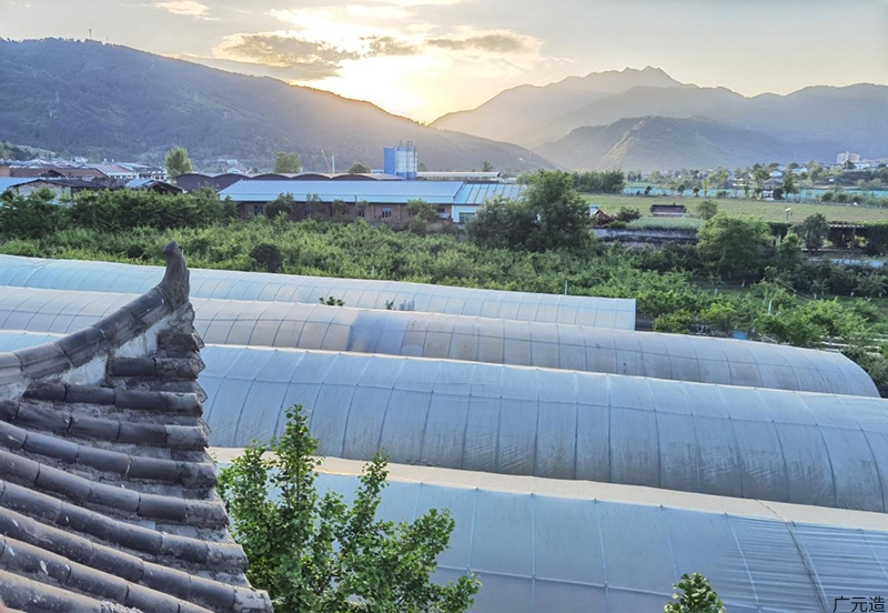 广元市友芹种养殖专业合作社