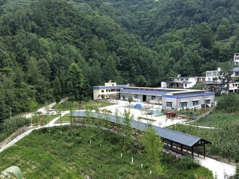 青川鼎源茶业有限责任公司