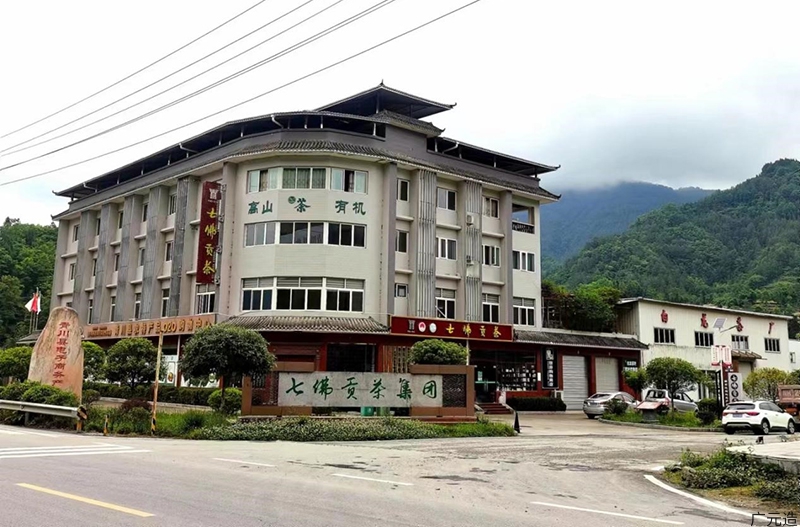 广元市白龙茶叶有限公司